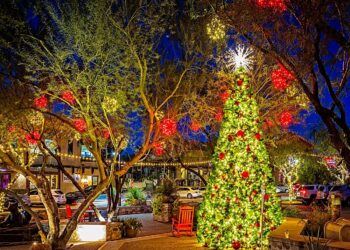 Natascha Christmas Light Decorators in az