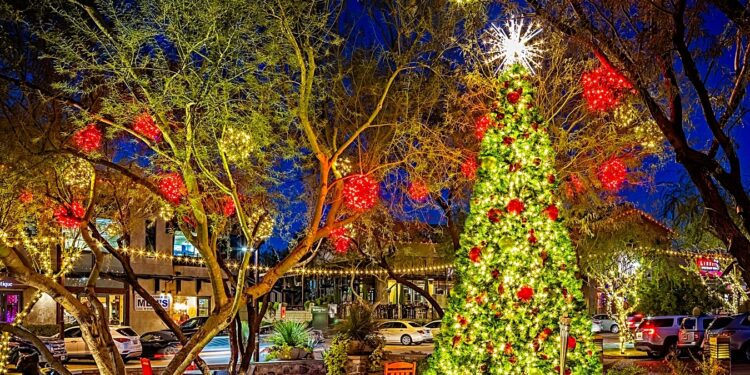 Natascha Christmas Light Decorators in az