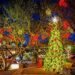 Natascha Christmas Light Decorators in az