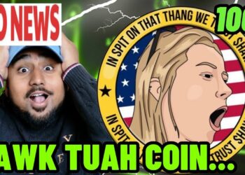 Hawk Tuah Crypto