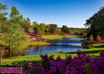 Blodeugerdo Song of the Flowers