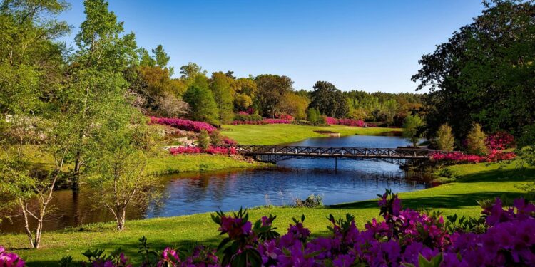 Blodeugerdo Song of the Flowers